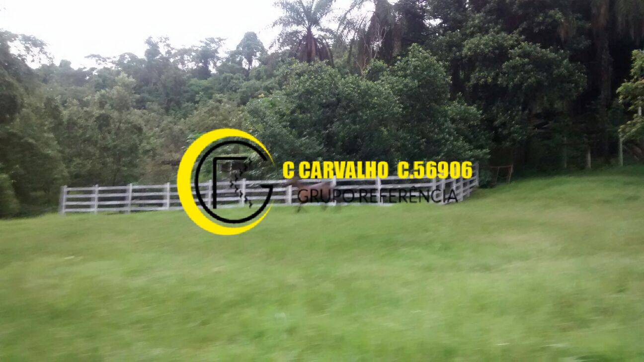 Sítio à venda com 15 quartos, 75708m² - Foto 17