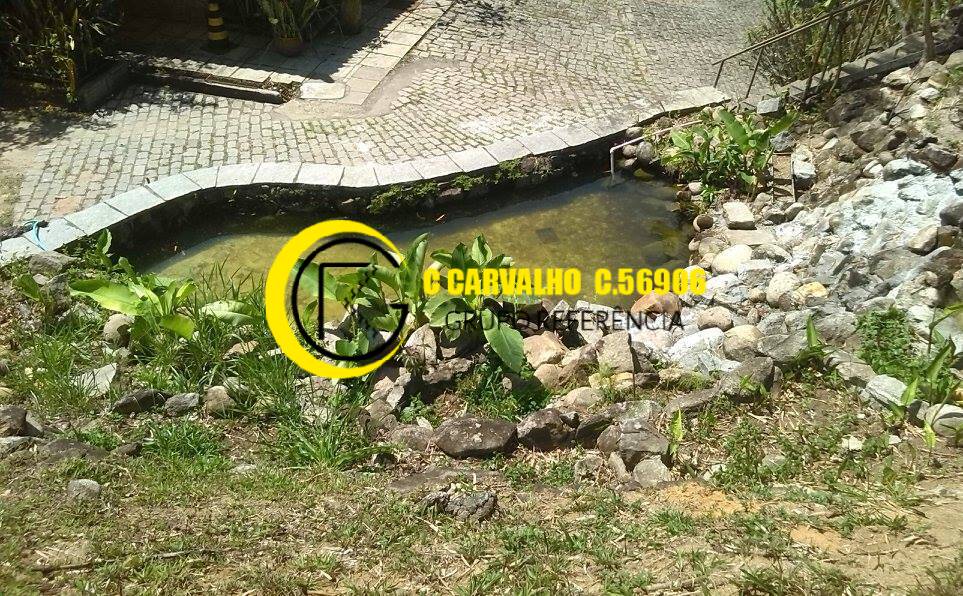 Sítio à venda com 15 quartos, 75708m² - Foto 71