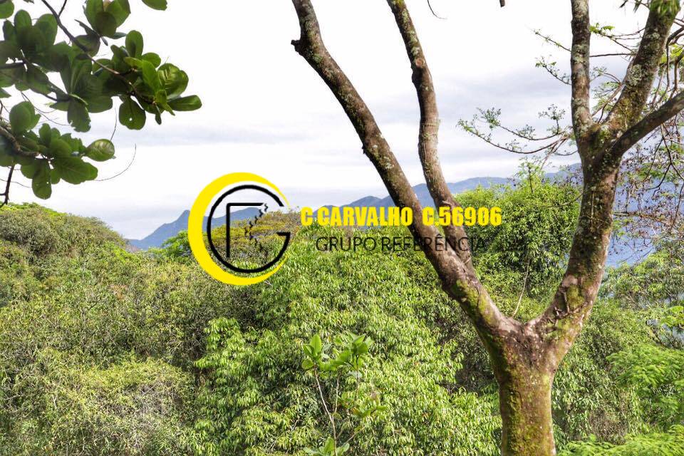Sítio à venda com 15 quartos, 75708m² - Foto 94