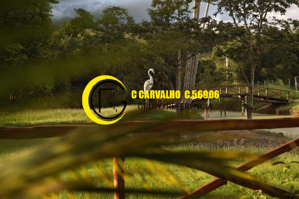 Sítio à venda com 15 quartos, 75708m² - Foto 118