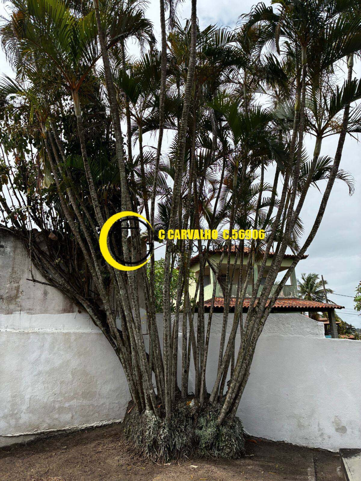 Casa, 2 quartos, 180 m² - Foto 18